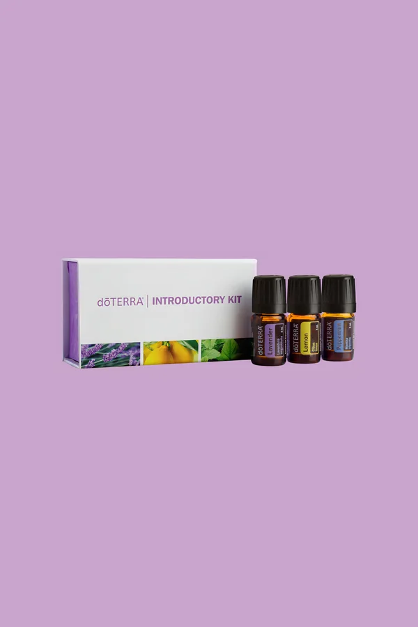 Вводный набор Introductory Kit